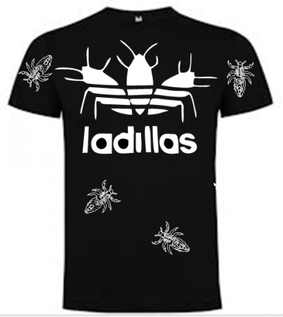 MODELO: LADILLAS (NEGRO) 